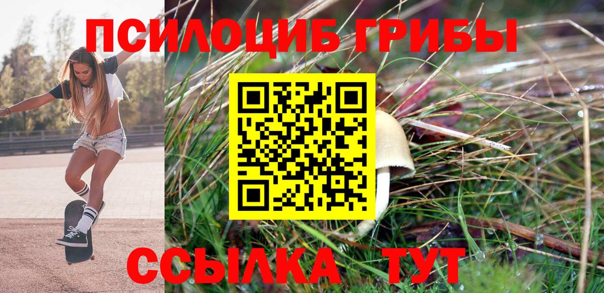 Псилоцибиновые грибы ЛСД Жигулёвск