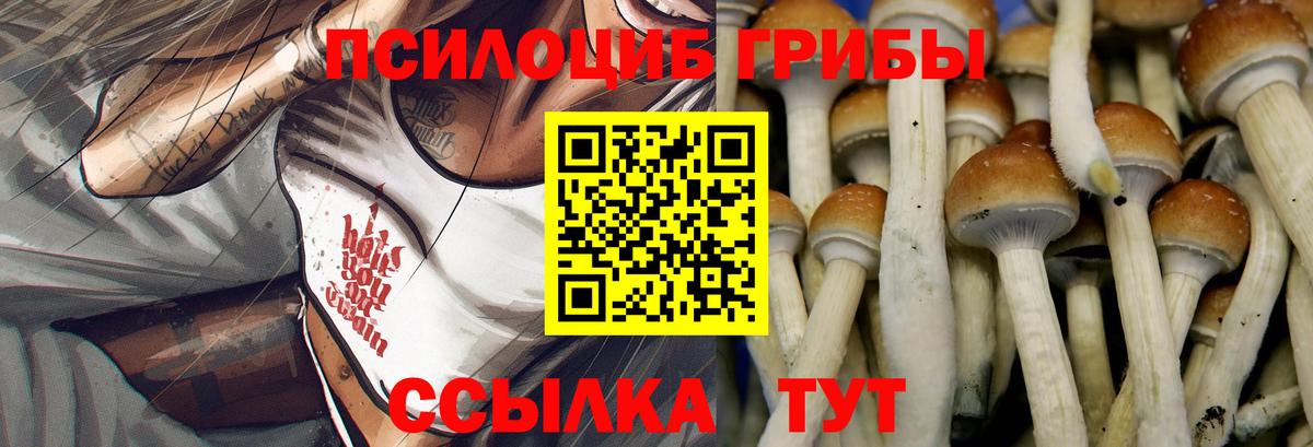 Псилоцибиновые грибы прущие грибы  Вход с VPN  Жигулёвск  Галлюциногенные грибы Psilocybine cubensis 